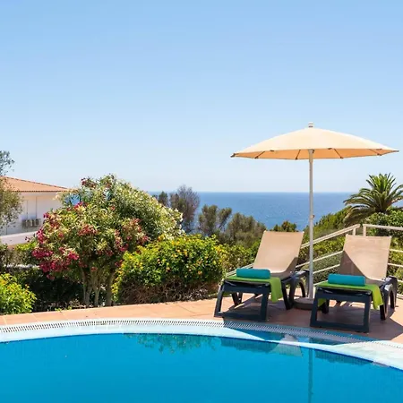 Gecko By * Santo Tomás