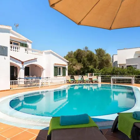 Gecko By Santo Tomás