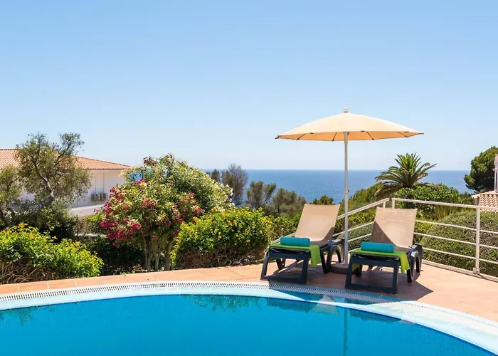 Gecko By * Santo Tomás