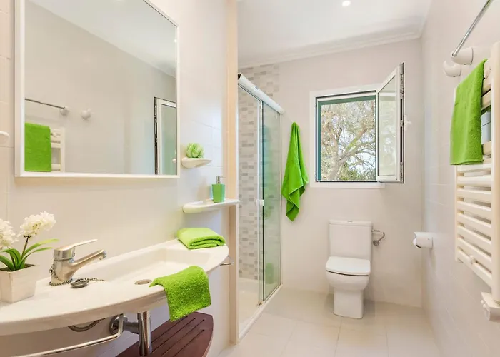 Gecko By Villa Santo Tomás