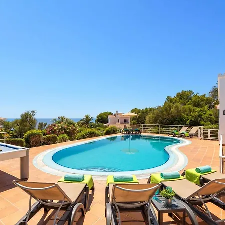 Gecko By Villa Santo Tomas