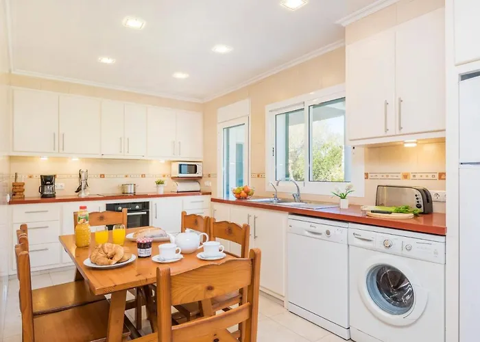 Gecko By * Santo Tomás