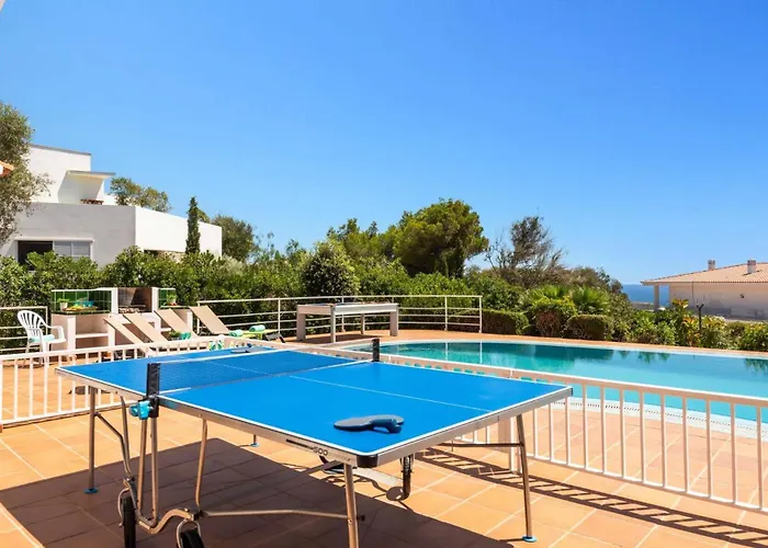 Gecko By * Santo Tomás