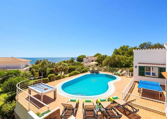 Gecko By Santo Tomás