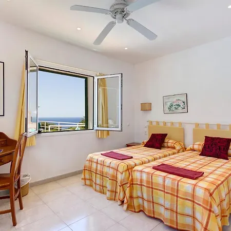 Gecko By Santo Tomás