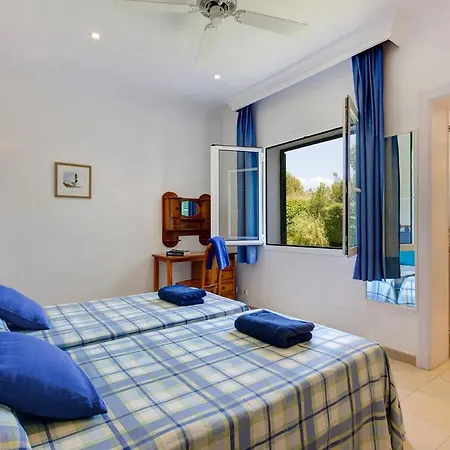 Gecko By Santo Tomás