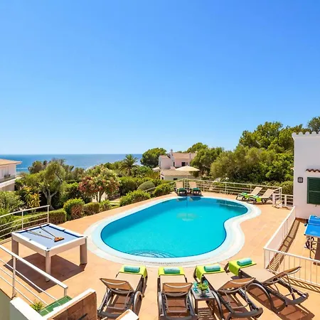 Gecko By Santo Tomás